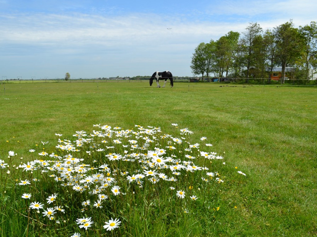 Minicamping De Tien Morgen 9